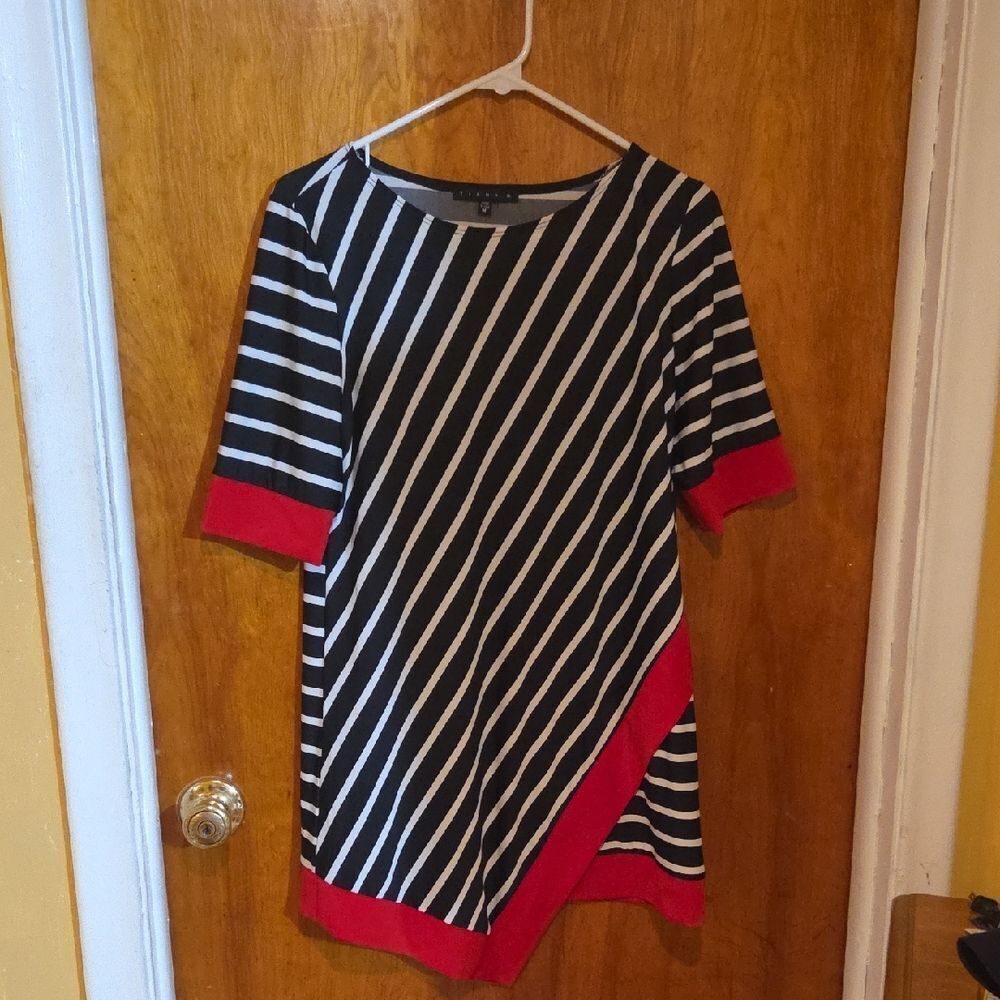 Tiana B. Black and White Striped Tunic Shirt with Red Highlights